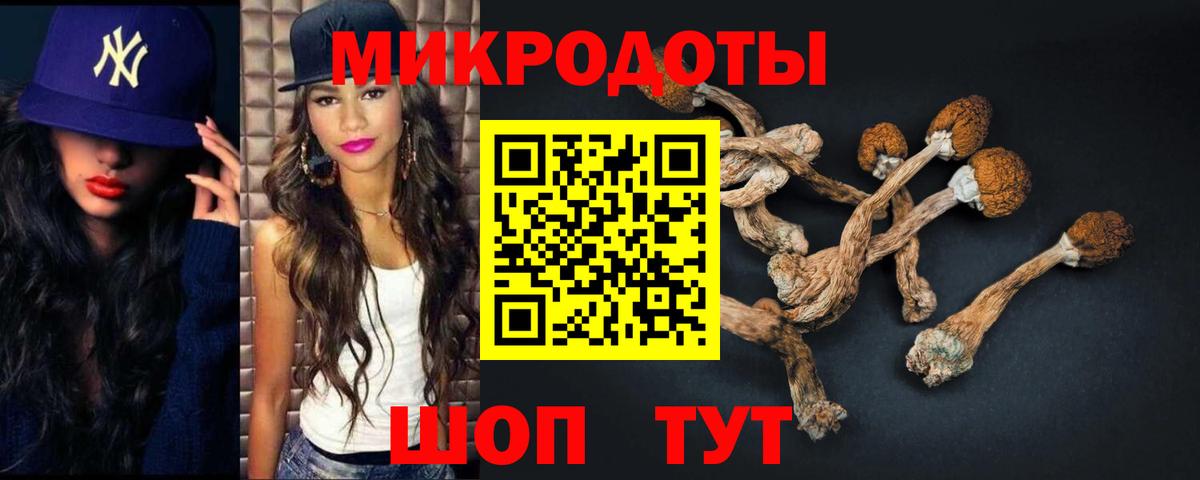 Серпухов  закладки  Вход с VPN  Галлюциногенные грибы Magic Shrooms  Псилоцибиновые грибы Magic Shrooms 