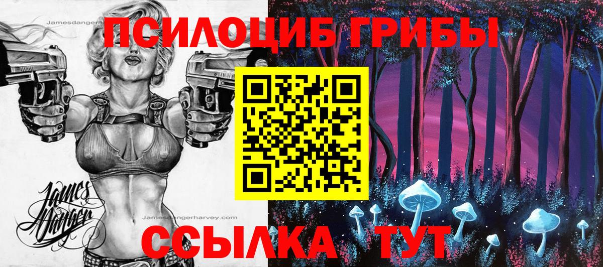 Псилоцибиновые грибы Psilocybe Серпухов